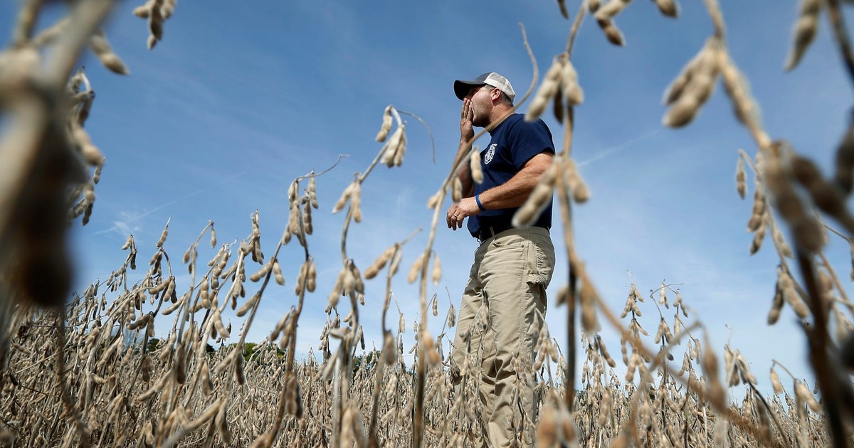 China just bought 3 million metric tons of American soybeans | Business ...