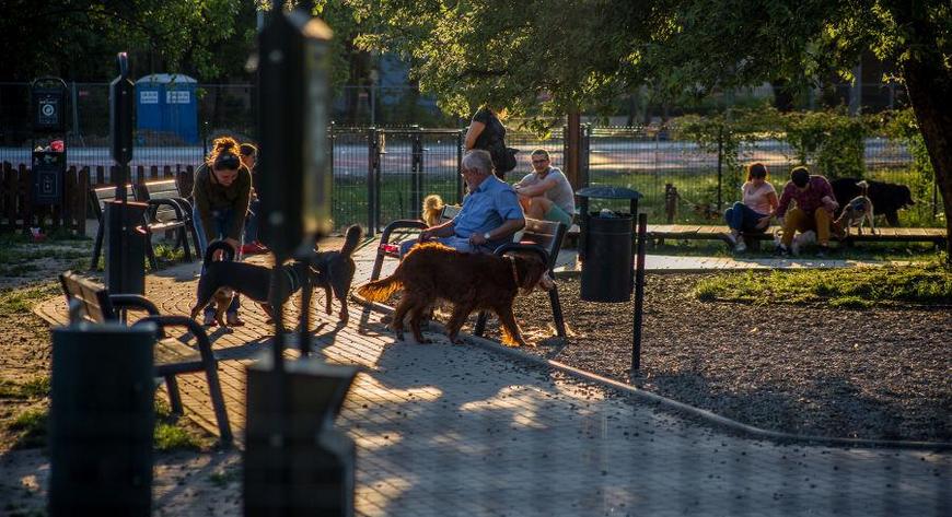 W Krakowie jest już 20 wybiegów dla psów i jest szansa na kolejne.