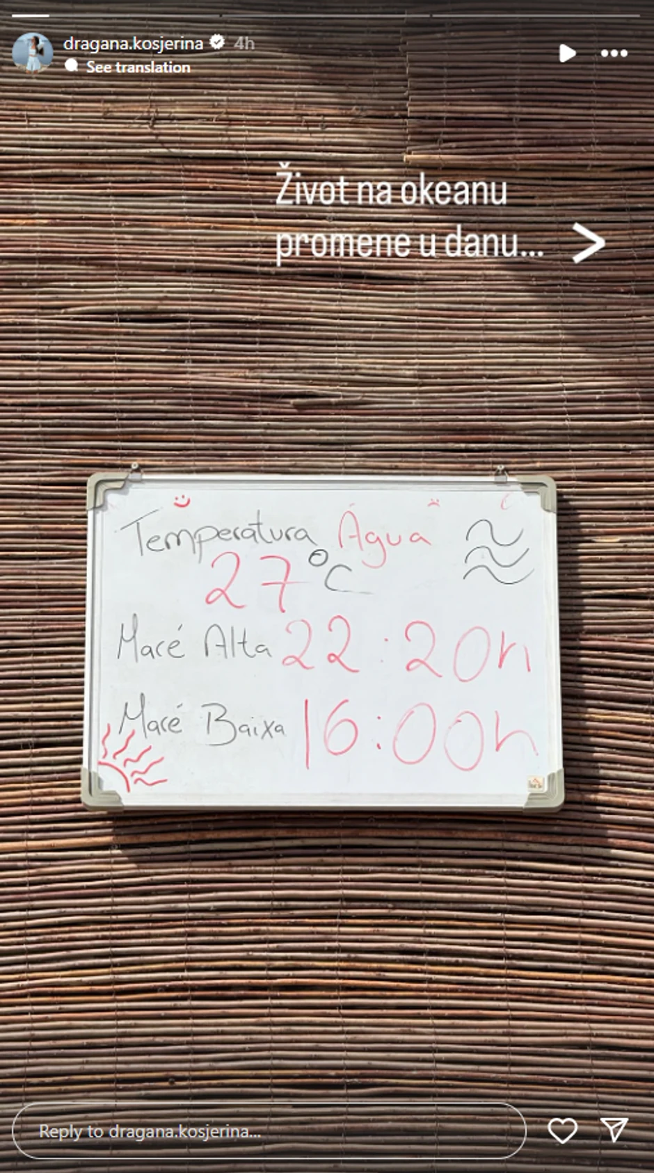 Dragana Kosjerina, objava