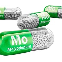 Molibdénhiány tünetei, vizsgálata és kezelési lehetőségei