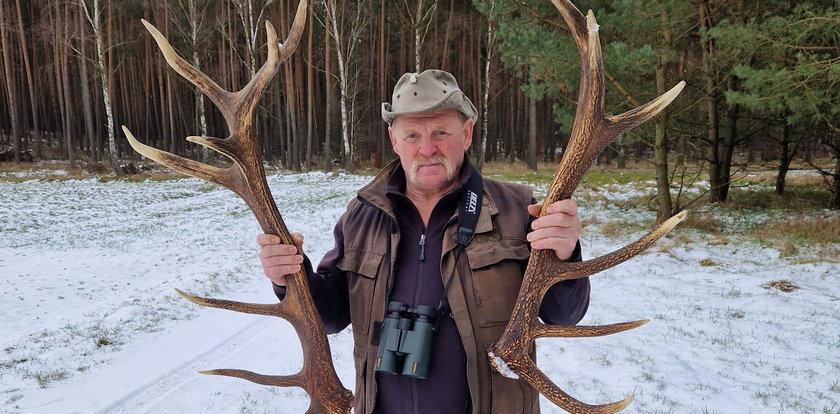 Rusz do lasu po poroże. Płacą nawet 80 zł za kilogram