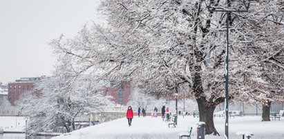 Synoptycy podali pierwsze prognozy. Wiemy, kiedy w Polsce spadnie śnieg