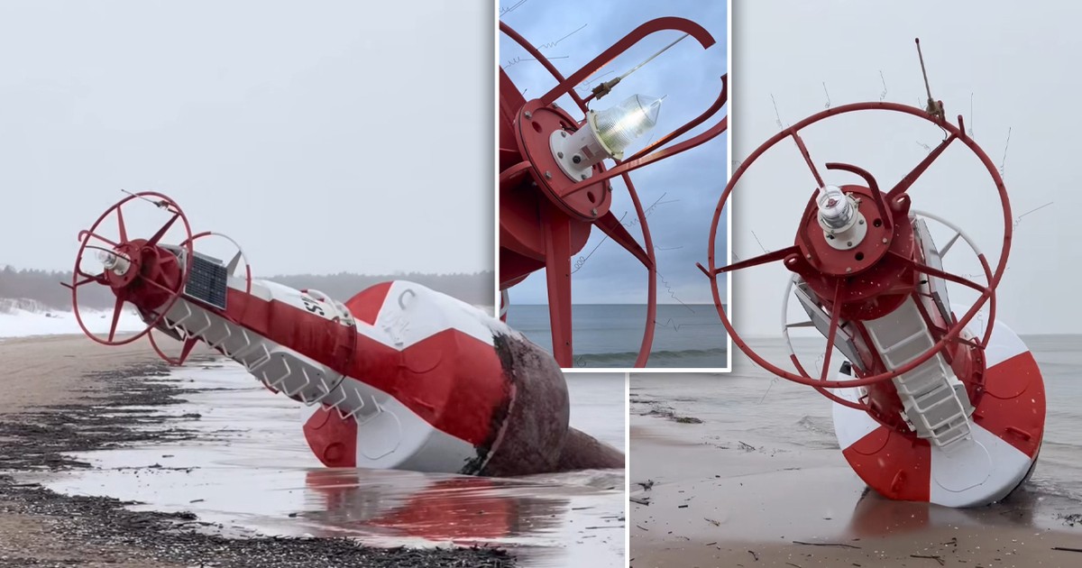 Sztorm wyrzucił to na plażę w Jantarze. "Monstrum"