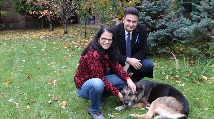 Felesége, Vince Felícia Lilla döntötte el, hogy örök-be fogadják Mimut, az idős és beteg kutyát / Fotó: Varga Imre
