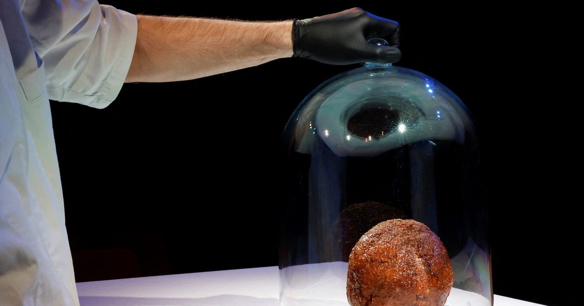 The 'mammoth meatball' grown in a lab probably doesn't taste like