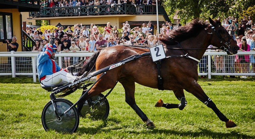Kłusaki francuskie będą jedną z licznych atrakcji drugiego dnia wyścigowego na Partynicach. 