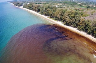 Stan wyjątkowy nad Zatoką Tajlandzką po wycieku ropy
