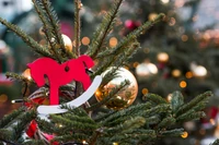 Dzieje choinki. Jak stała się nieodłącznym elementem świąt?