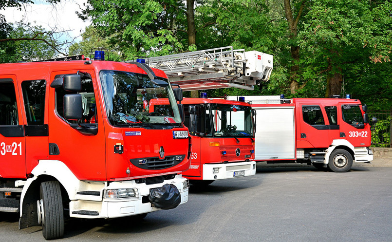 W ramach Europejskiego Mechanizmu Obrony Ludności Szwecja otrzymała pomoc m.in. z Włoch, Francji, Niemiec, Danii i Litwy. W ramach tej pomocy do Szwecji wysłano m.in. 5 samolotów, 6 śmigłowców, 67 pojazdów naziemnych. W gaszeniu pożarów bierze udział 340 strażaków spoza Szwecji.