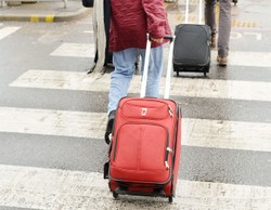 Stare drzewa się przesadza. Polacy po pięćdziesiątce wyjeżdżają z Polski