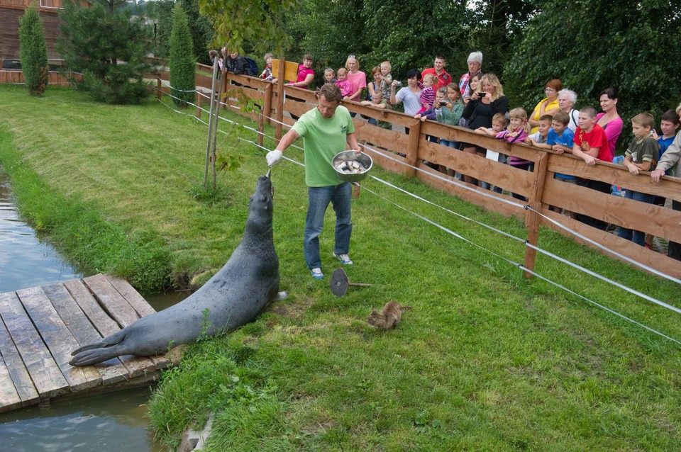 Pięciolecie Zoo Safari