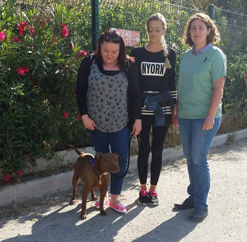 Niemiecka turystka odnalazła psa po 5 latach