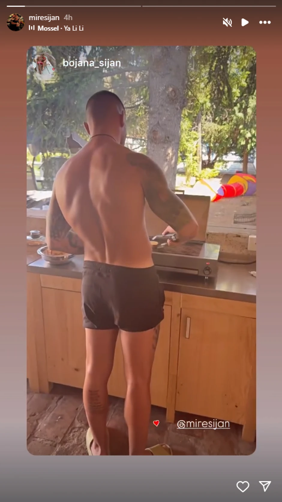 Mirko Šijan, objava