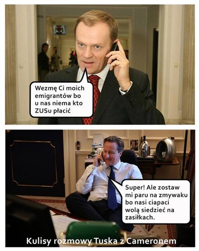 Mem z Donaldem Tuskiem i Davidem Cameronem / Mięso wyborcze