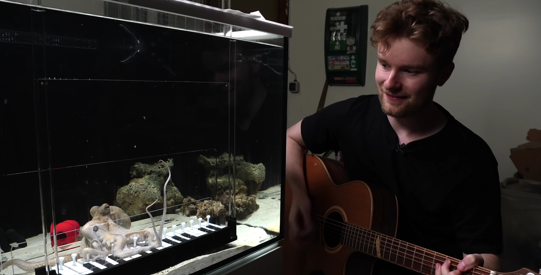 Prvé vystúpenie chobotnice Tako.