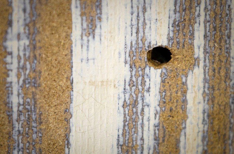 Utoya. Wyspa, na której Breivik dokonał masakry