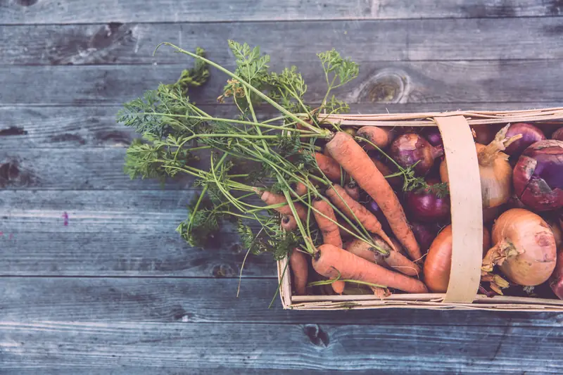 Kalendarz biodynamiczny ogrodnika 2018 / unsplash