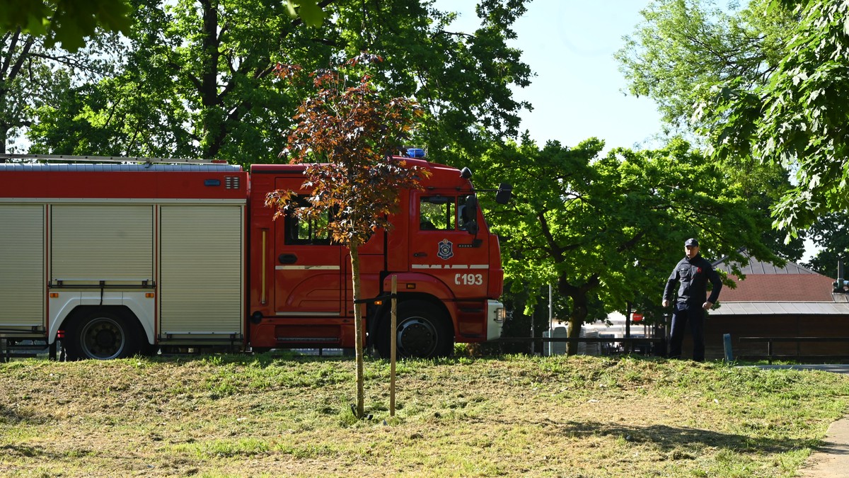 BUKNUO POŽAR NA ADI CIGANLIJI Vatrogasci HITNO stigli na lice mesta