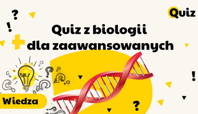 15 prostych pytań z biologii — jak dużo pamiętasz ze szkoły? [QUIZ]