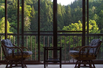 Jak zieleń w otoczeniu domu wpływa na samopoczucie? [BADANIE]