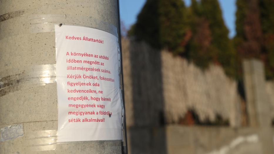 Figyelmeztető plakátokat is kitett az önkormányzat, hogy felhívja a veszélyre a tulajdonosokat. /Fotó: Zsolnai Péter