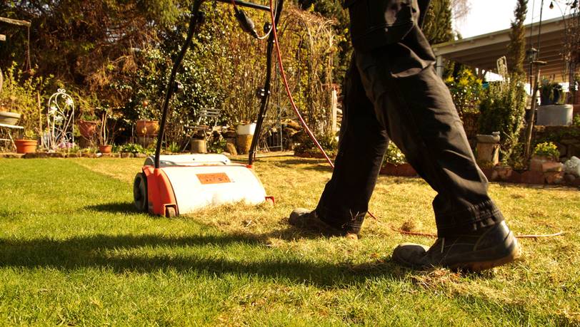 Rasenpflege: Die beliebtesten Vertikutierer mit Kabel im Vergleich