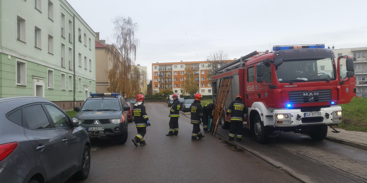 Przez kilka dni pies czuwał nad zwłokami zmarłego właściciela