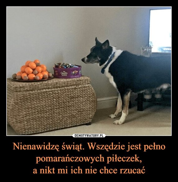 Najlepsze świąteczne memy. Internauci w formie