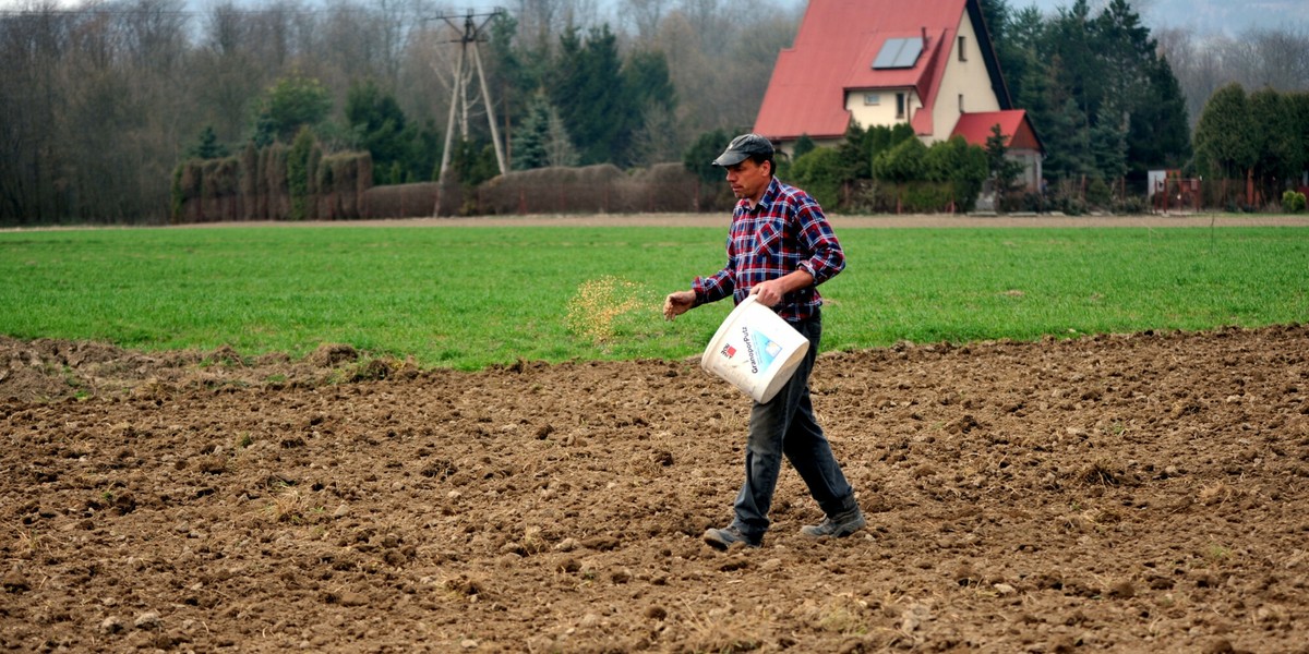 W tym roku rolnicy będą mogli zasiewać również tereny, które do tej pory nie wchodziły w grę.