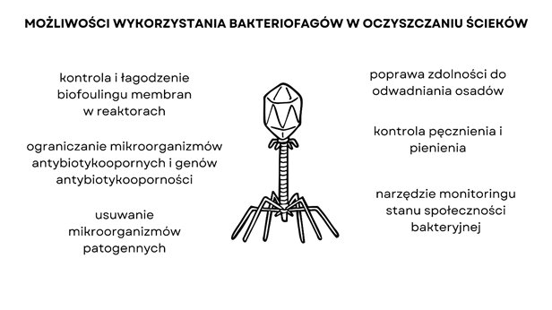 <em>Rys. 1. Biotechnologiczne możliwości fagów w oczyszczalniach ścieków</em>