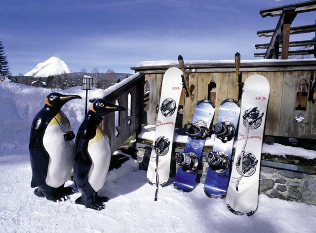 Galeria Joe &amp; Sally - podróżujące pingwiny, obrazek 4