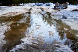 Zima się kończy? Termometry pokażą nawet 10°C na koniec lutego