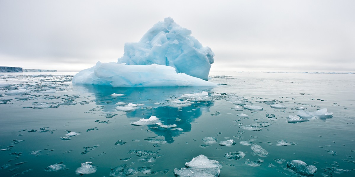 Arktyka jest jednym z regionów najbardziej dotkniętych zmianami klimatycznymi. 