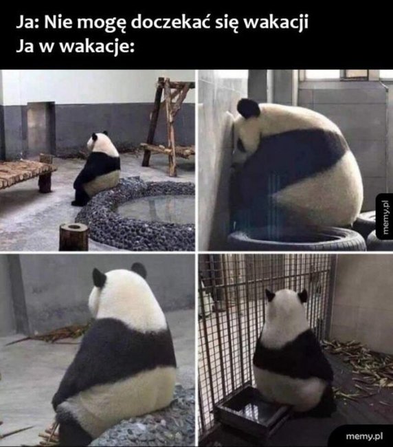 Wakacje 2021 - memy