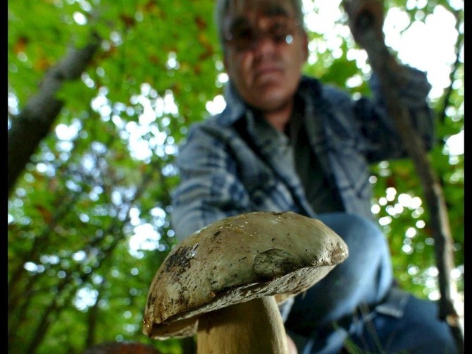 Mislili da su jajčare, a radilo se o zelenoj pupavci