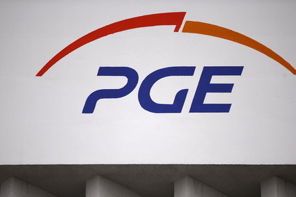 Ministerstwo energii nadal chce, by PGE zarządzała projektem budowy elektrowni jądrowej