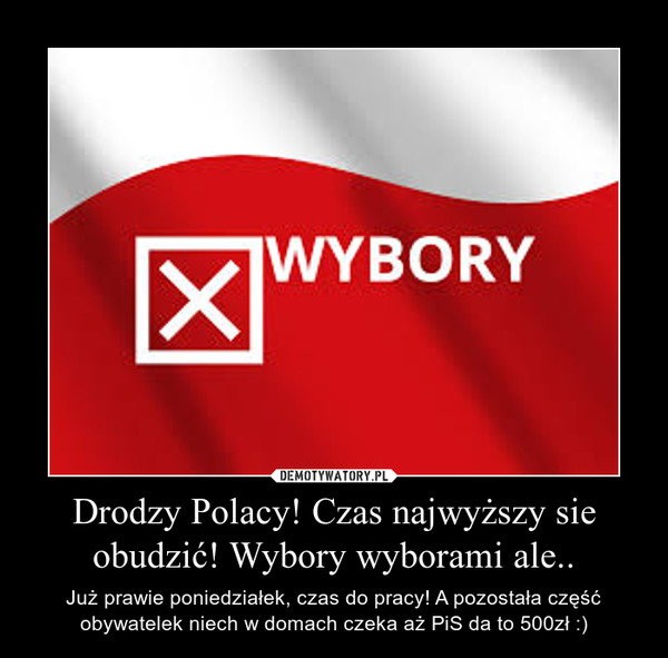 memy wybory