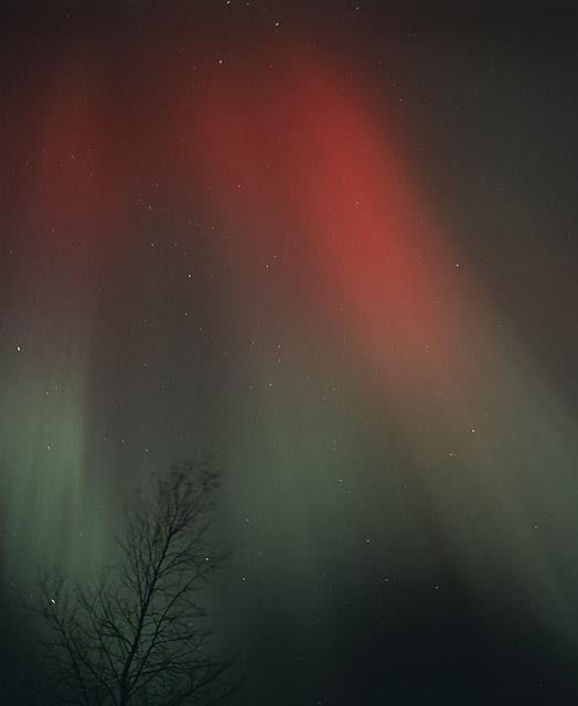 Galeria Finlandia - Zorza polarna, obrazek 9