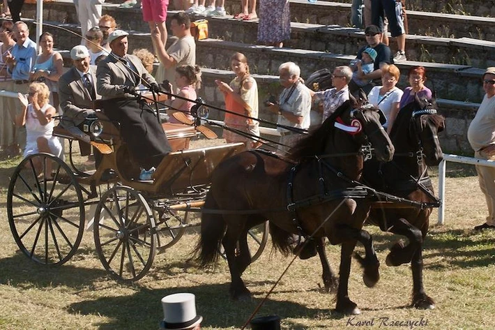 I Międzynarodowy Konkurs Tradycyjnego Powożenia, fot. Karol Rzeczycki