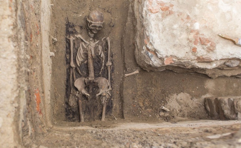 Szkielet odkryty w Poznaniu