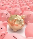 Jakie instytucje będą obsługiwać PPK? Gdzie trafią oszczędności pracowników?