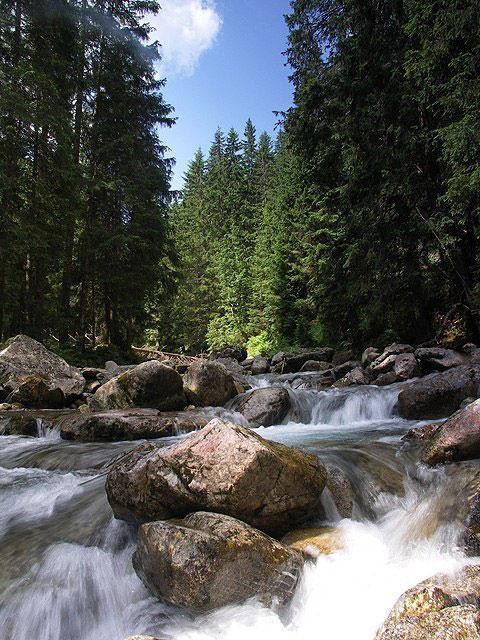 Galeria Polska - Tatry, obrazek 12