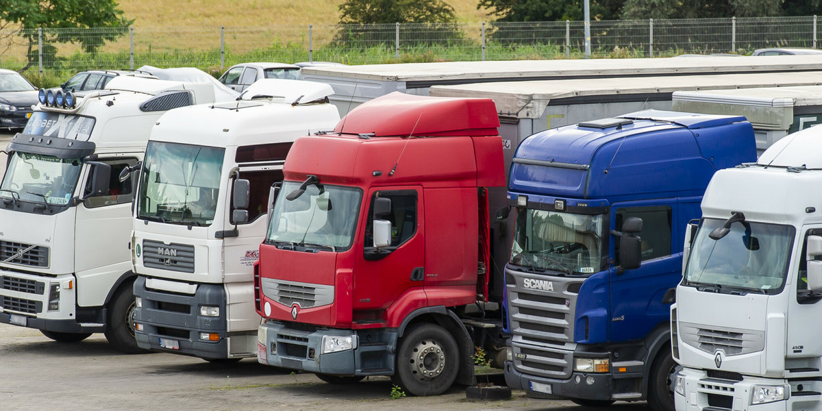 Białoruscy przedsiębiorcy, którzy rejestrują swoje firmy w Polsce, działają m.in. w sektorze transportu i logistyki. 