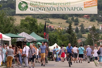 A családi rendezvénynek induló kezdeményezés, ma már sok ezer embert vonz
