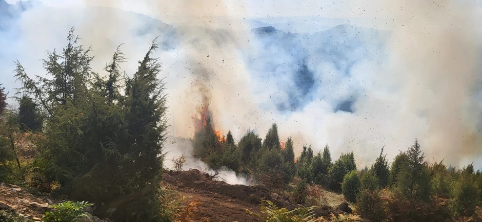 Pokazna vatrogasna vežba na padinama Tare