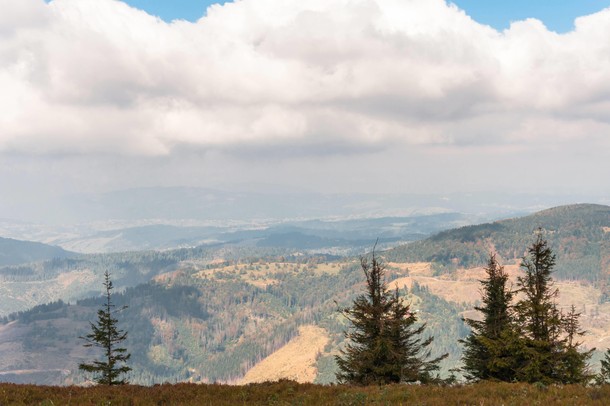 Beskid Żywiecki (Polska)