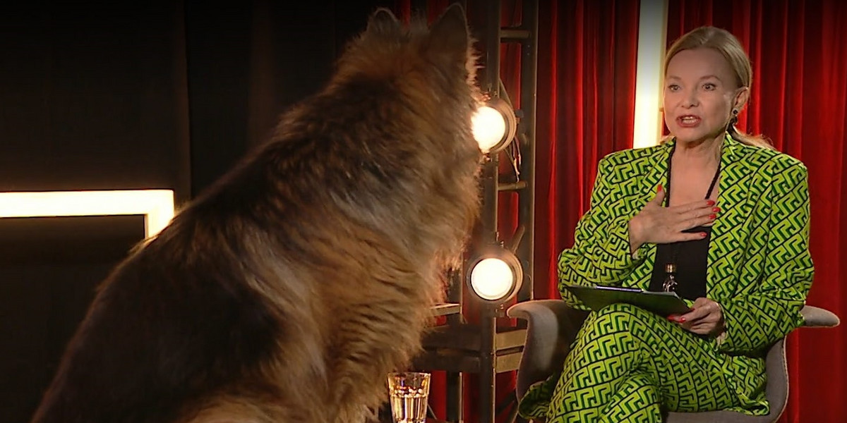 W TVP przeprowadzili wywiad z... psem! Pies nawet "odpowiadał" znanej aktorce.