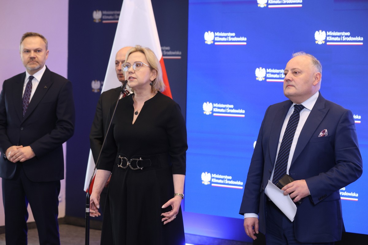 Anna Moskwa, Wojciech Dąbrowski, Artur Warzocha