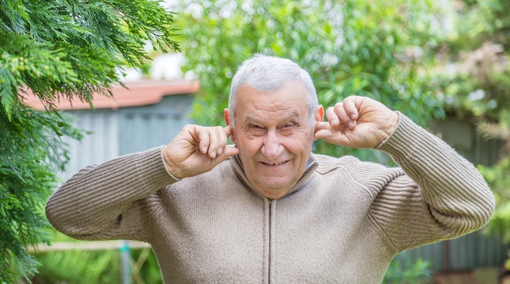 A dübörgő autók és a hangos szomszédok zavarhatják a kertben pihenni vágyókat/Fotó: Shutterstock