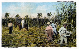 Słodka wyspa. Historia interwencji USA na Kubie